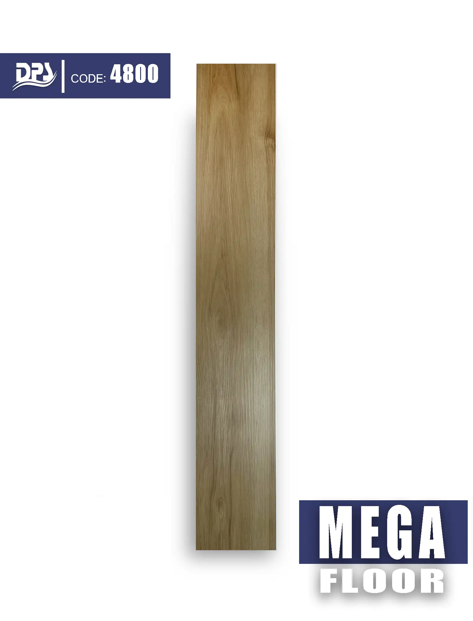 4800